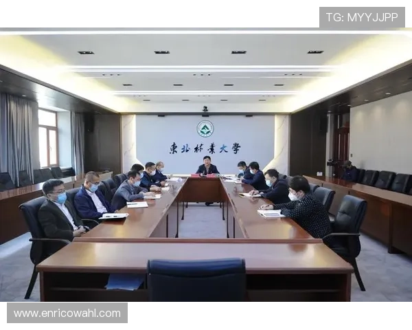 华体会网站登录入口常见问题及解决方案，助力玩家轻松应对登录难题